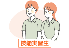 技能実習